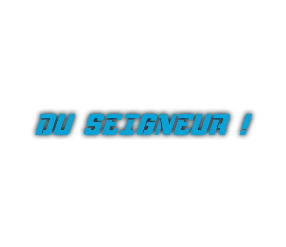 LE STICKER DU SEIGNEUR ! - Image 3